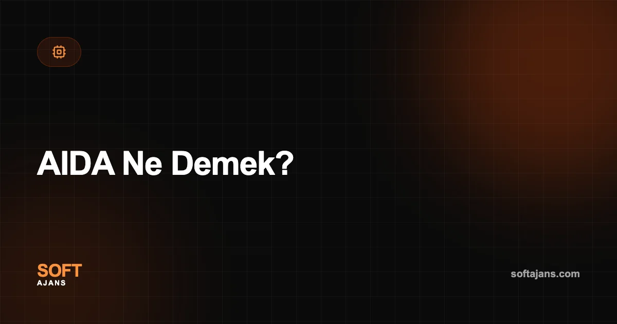AIDA Ne Demek?