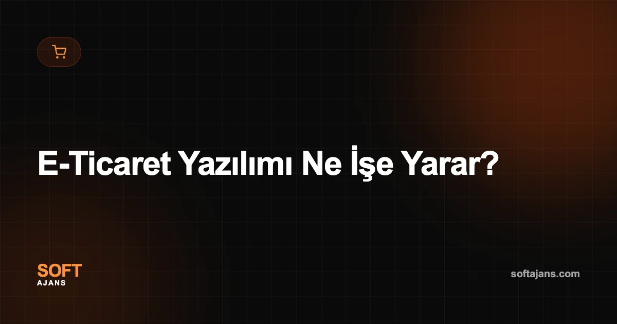 E-Ticaret Yazılımı Ne İşe Yarar?