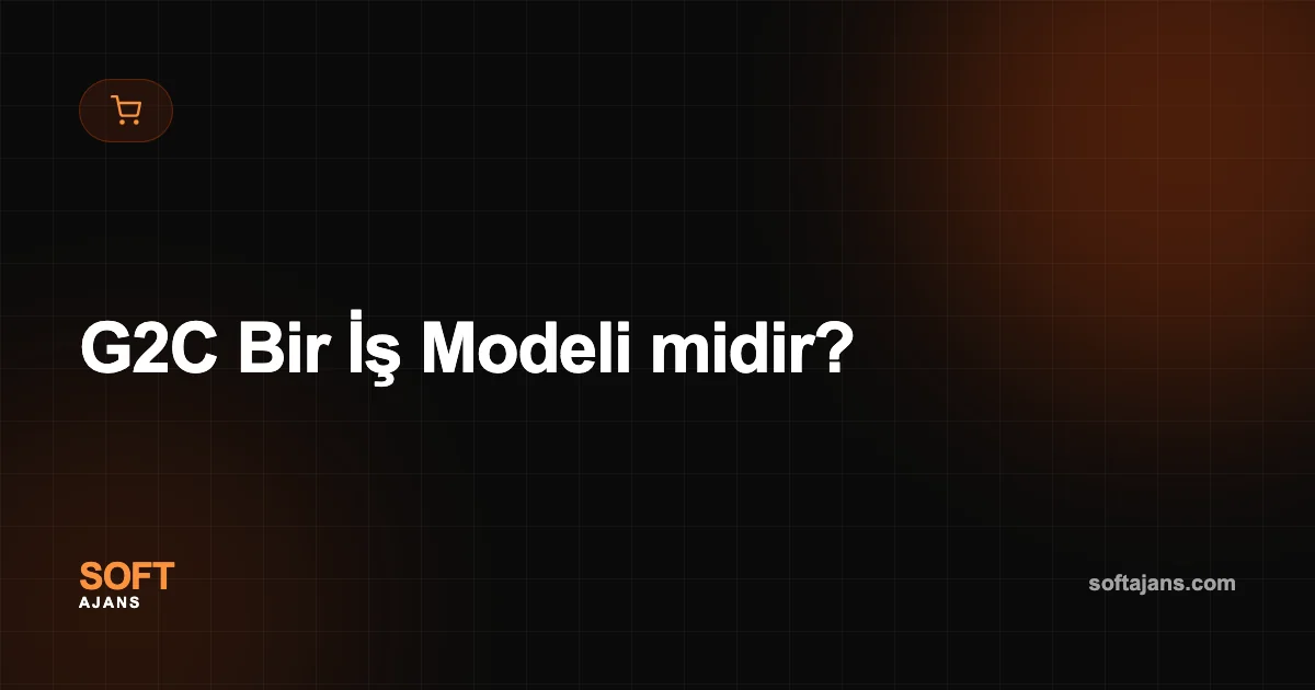 G2C Bir İş Modeli midir?