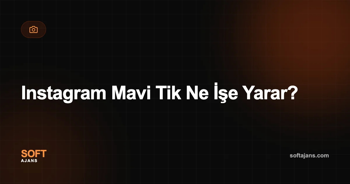 Instagram Mavi Tik Ne İşe Yarar?