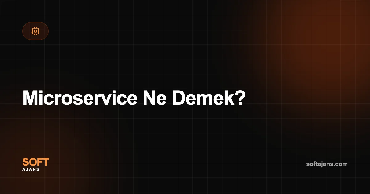 Microservice Ne Demek?