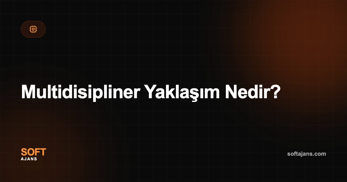 Multidisipliner Yaklaşım Nedir?