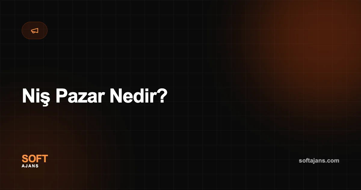 Niş Pazar Nedir?