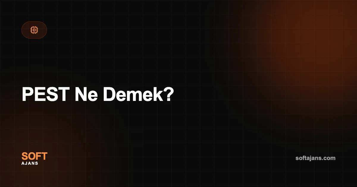 PEST Ne Demek?