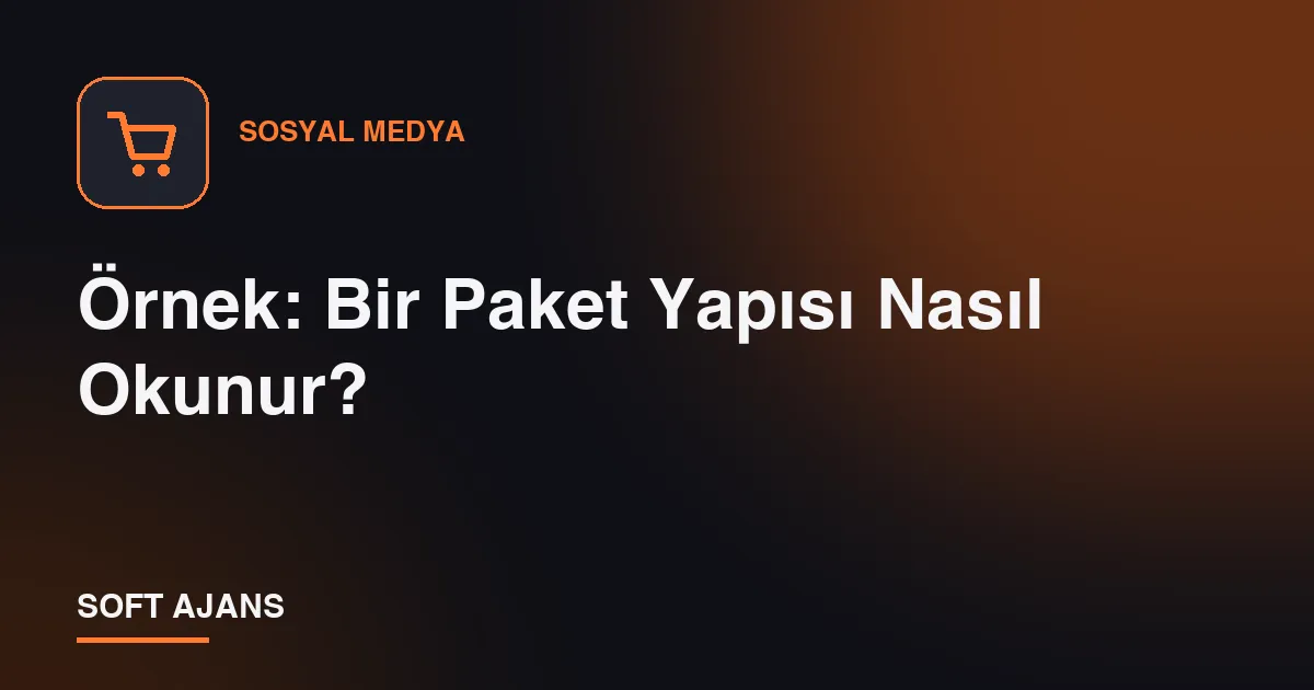 Örnek: Bir Paket Yapısı Nasıl Okunur?