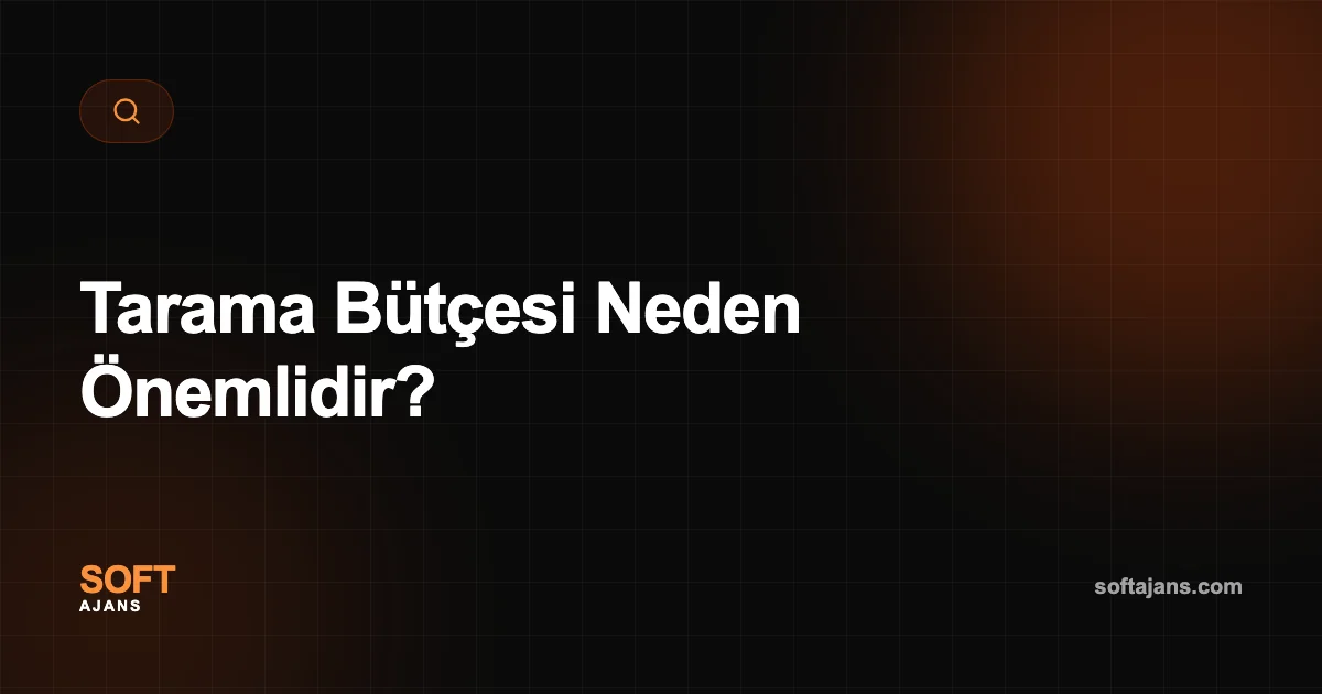 Tarama Bütçesi Neden Önemlidir?